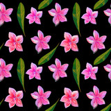 Frangipani Plumeria Tropical Flowers. Seamless Pattern Black Background. Tropical floral summer seamless pattern background with plumeria flowers with leaves