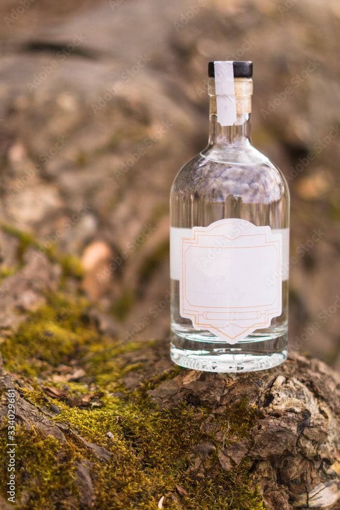 A bottle of alcohol stands in the forest, on a tree, near moss, in the setting sun, gin, vodka A bottle of alcohol stands in the forest, on a tree, near moss, in the setting sun, gin, vodka