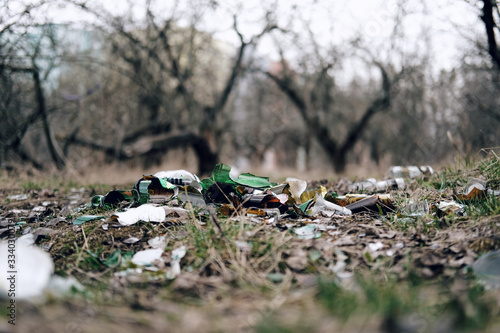 Debris and broken bottles in the woods. Pollution and environmental problems. A landfill in the woods against a backdrop of trees. Illegal picnics.