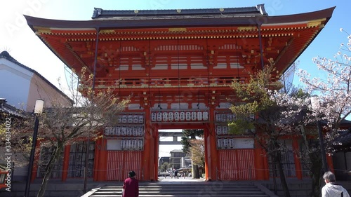 日本 京都 八坂神社の桜と春景色