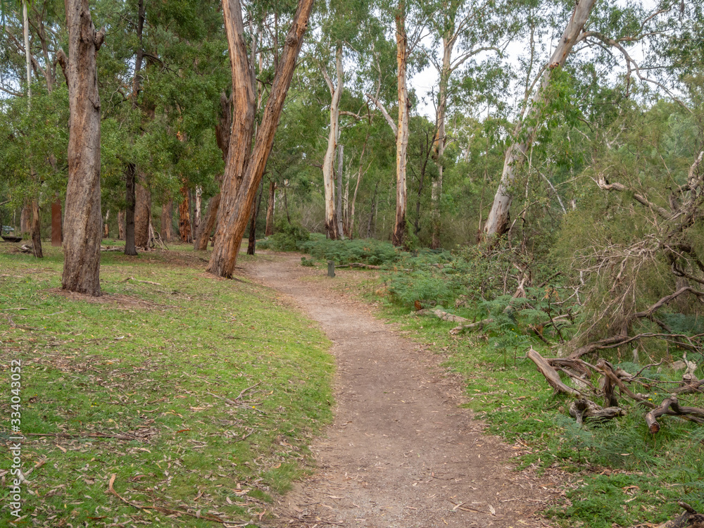Fototapeta premium Pound Bend Trail