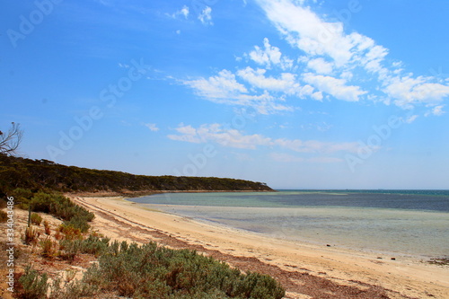 beach and sea in Eyre Peninsula  South Australia
