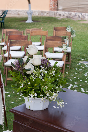 flor planta colores naturaleza rosa rosal gardenia 