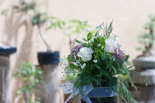 flor planta colores naturaleza rosa rosal gardenia 