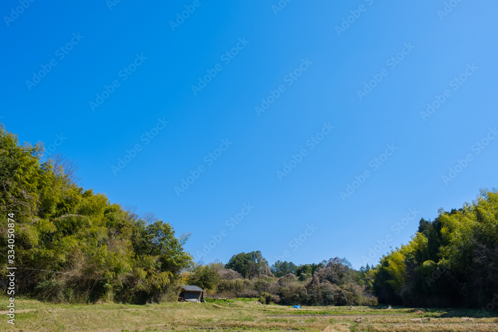 Fototapeta premium 【写真素材】 青空 山 森林 田舎 春の空 背景 背景素材 3月 コピースペース