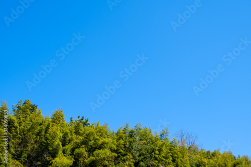 【写真素材】 青空 山 森林 田舎 春の空 背景 背景素材 3月 コピースペース