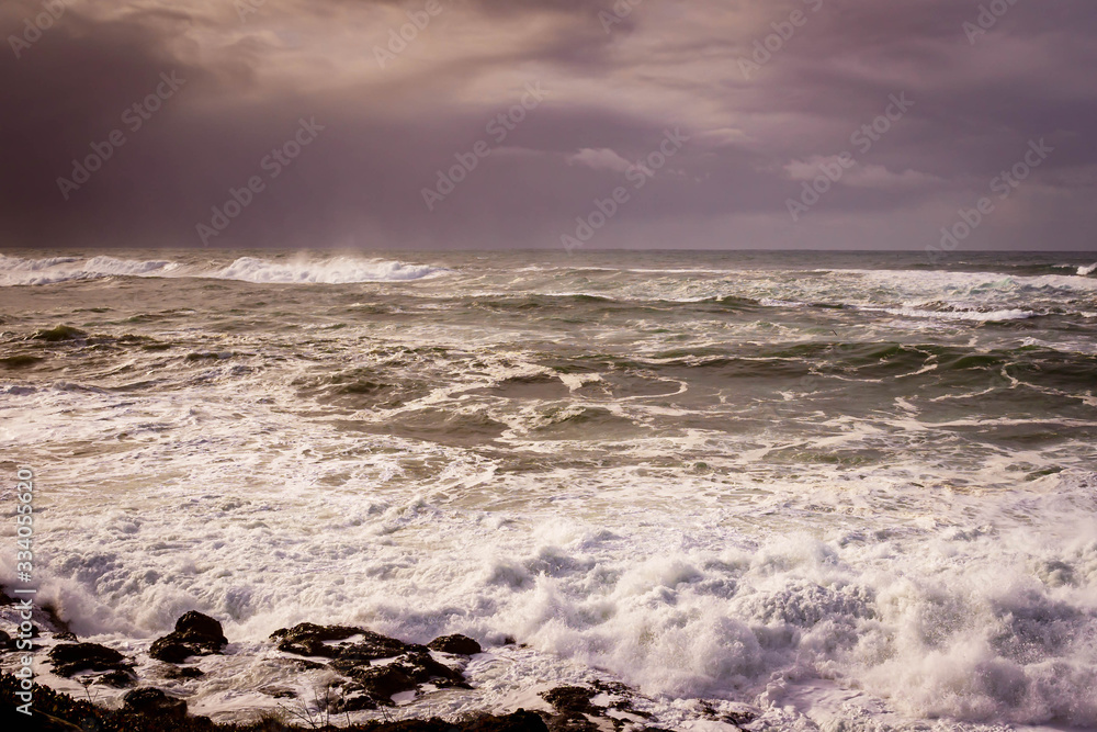 Oregon coast Pacific Ocean Newport Oregon coast Pacific Ocean Newport