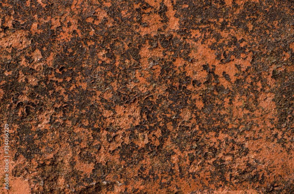 Clay Dried Moss Cracked Texture Clay Dried Moss Cracked Texture