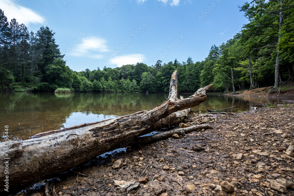 A picturesque small lake A picturesque small lake
