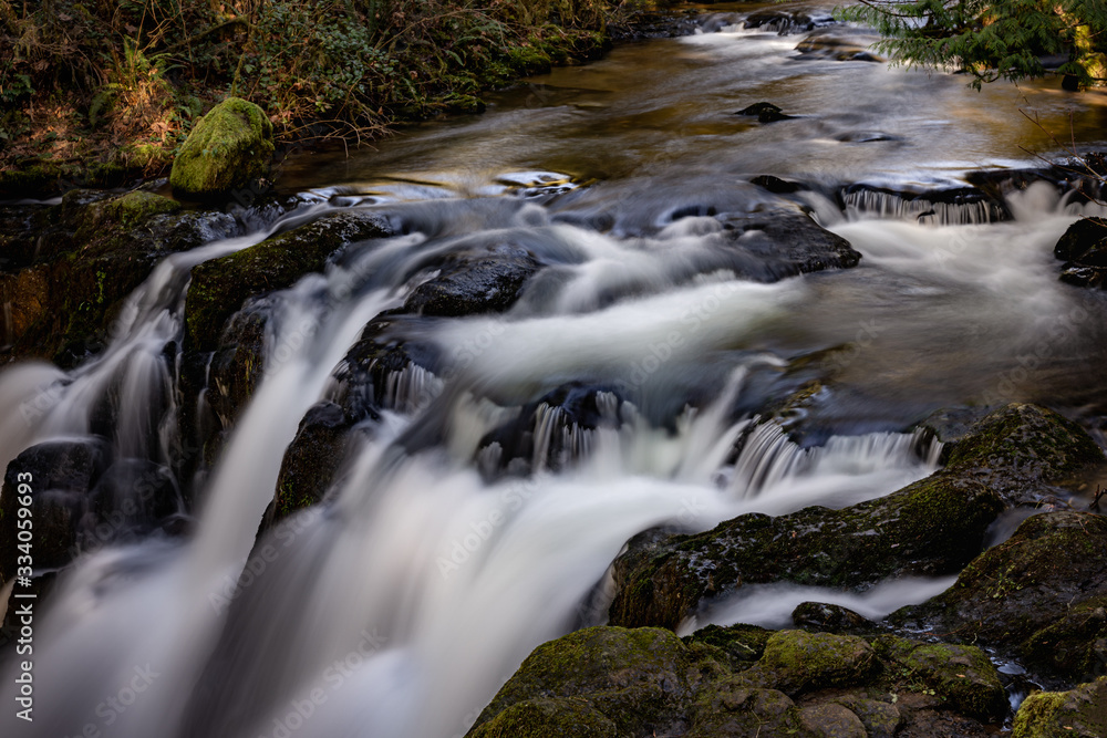 McDowell Creek Lebanon Oregon Cascade Range Forest McDowell Creek Lebanon Oregon Cascade Range Forest