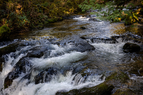 McDowell Creek Lebanon Oregon Cascade Range Forest