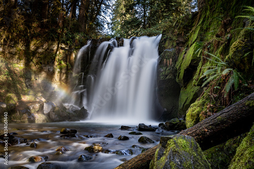 Fototapeta Naklejka Na Ścianę i Meble -  McDowell Creek Oregon Cascade Range