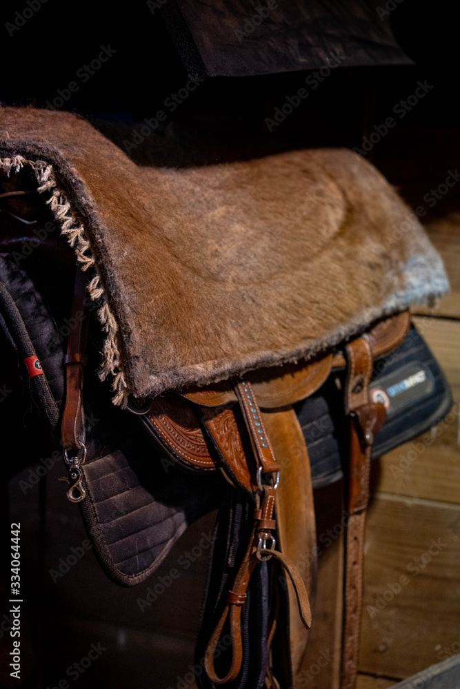 horse barn tack Stock Photo Adobe Stock