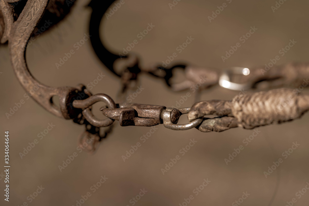 Obraz premium Horse tack horse riding