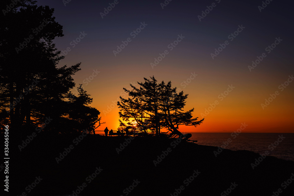 Fototapeta premium Sunset evening at Shore Acres Winchester Oregon Coast