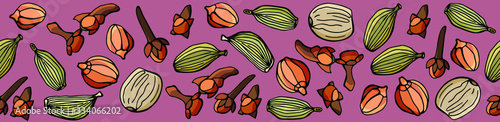 Seamless spice border. Cardamom, cloves, nutmeg, coriander. Cartoon style illustration. Stock illustration.