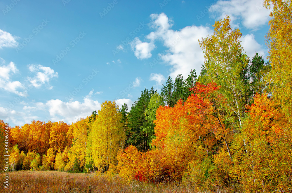 Autumn landscape. Ural region, Chelyabinsk region.	