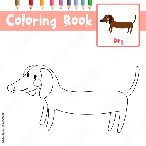 Coloring page Side view Dachshund animal cartoon character vector illustration