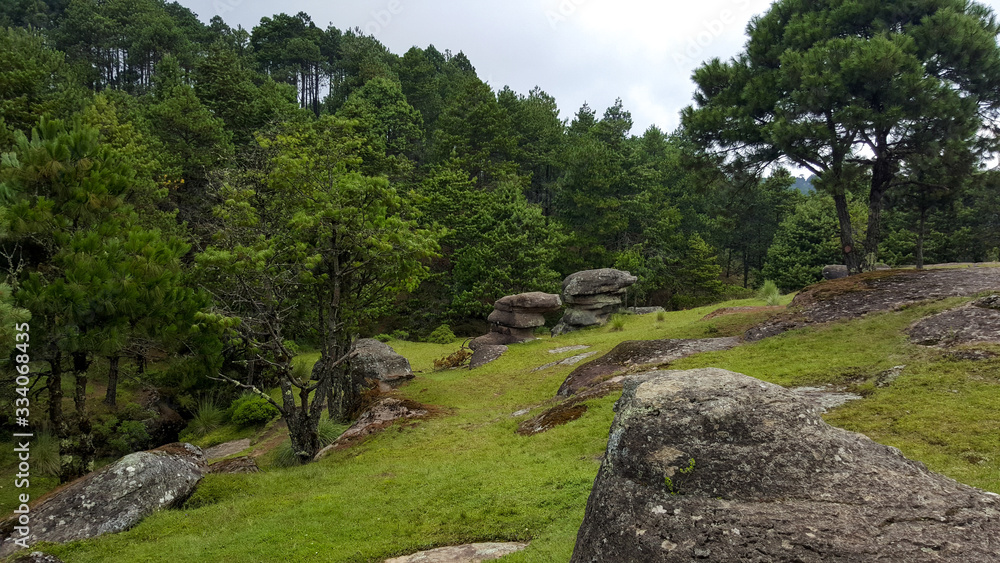 Glade in wooded landscape on topped stones Glade in wooded landscape on topped stones