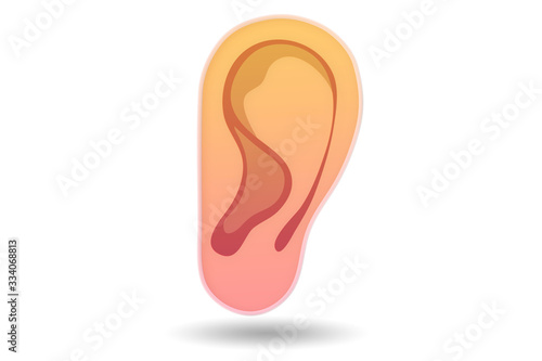 The human ear in medical concept - 3d rendering