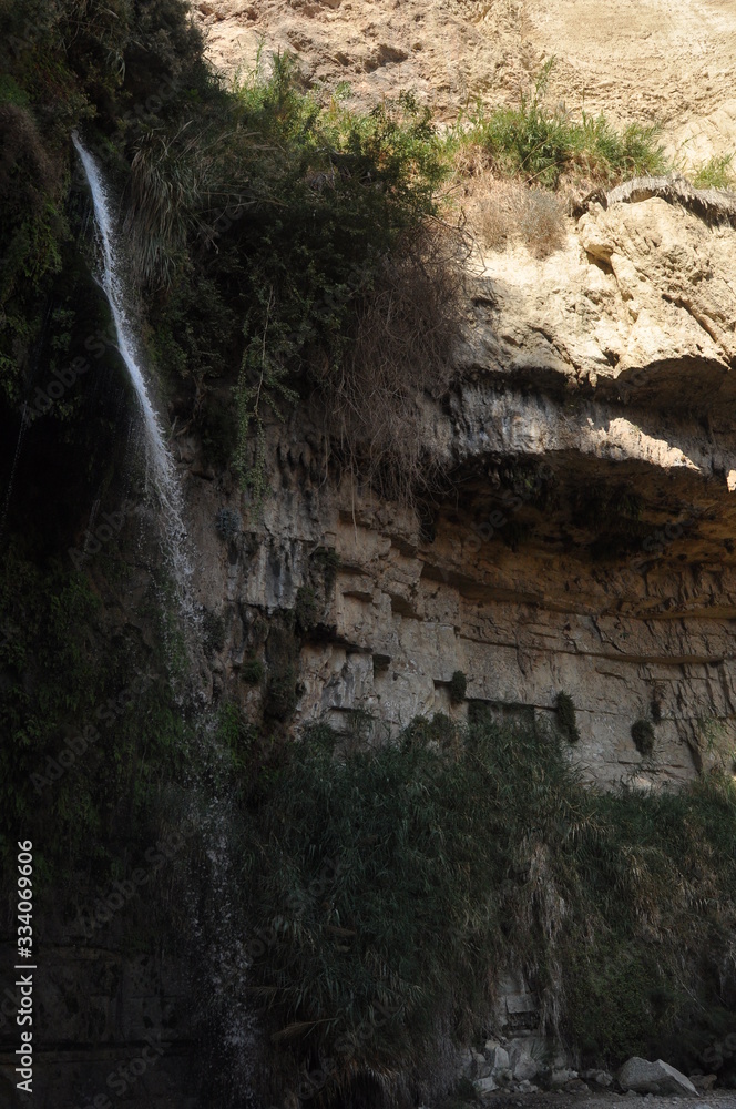 A green oasis with a waterfall and lakes in the Ein Gedi National Park in Israel on the Dead Sea A green oasis with a waterfall and lakes in the Ein Gedi National Park in Israel on the Dead Sea
