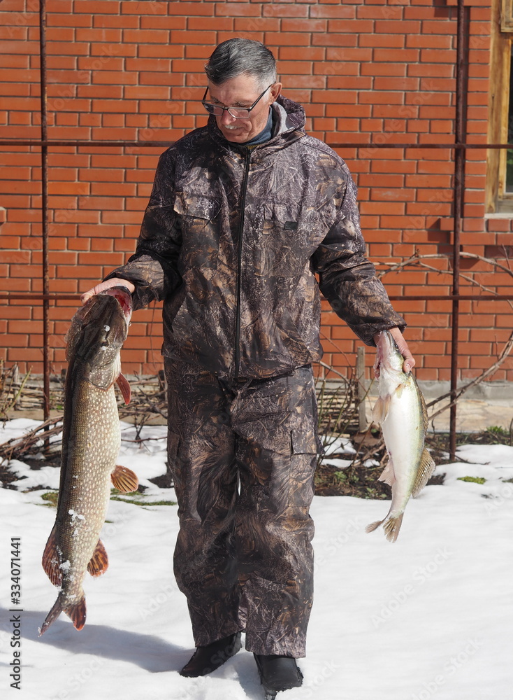 Naklejka premium Winter fishing. Fisherman with fish caught in the winter in the snow. Large river fish.Copy space.