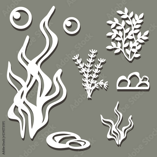 Set of patterns of water plants. Vector illustration.
