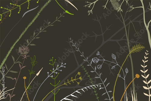 Hand drawn random herbs and wild meadow wild grass arrangement backdrop on black. Background for flyer, invitation or packaging design.