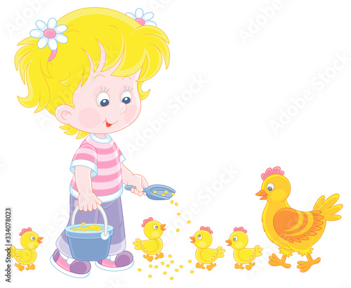 girl farmer standing with a bucket of feed grain and feeding a merry brood of small yellow chicks and a cute hen on a chicken farm, vector cartoon illustration on a white background