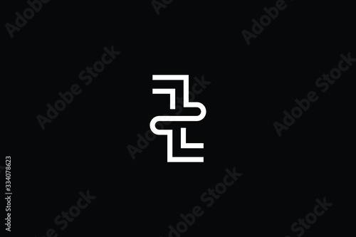 Minimal elegant monogram art logo. Outstanding professional trendy awesome artistic Z ZZ nitial based Alphabet icon logo. Premium Business logo White color on black background © FinalDesignz