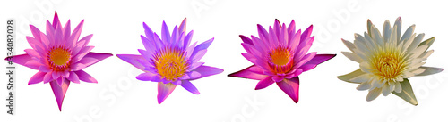 Set of Lotus flower isolated on white background. Have clipping path