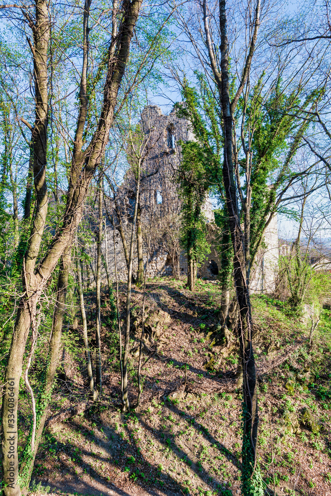 Fototapeta premium Castles and ruins. Medieval manors of the Zucco and Cucagna family. Friuli. Italy.