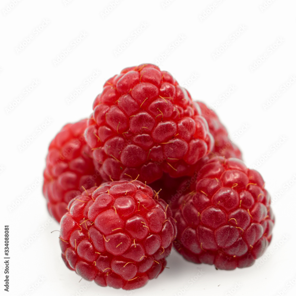 Raspberry. Raspberry isolated. Raspberry on white background. Raspberry. Raspberry isolated. Raspberry on white background.