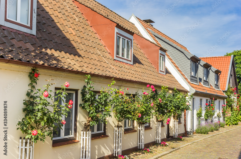 Pink roses in front of historic houses in Holm village, Germany