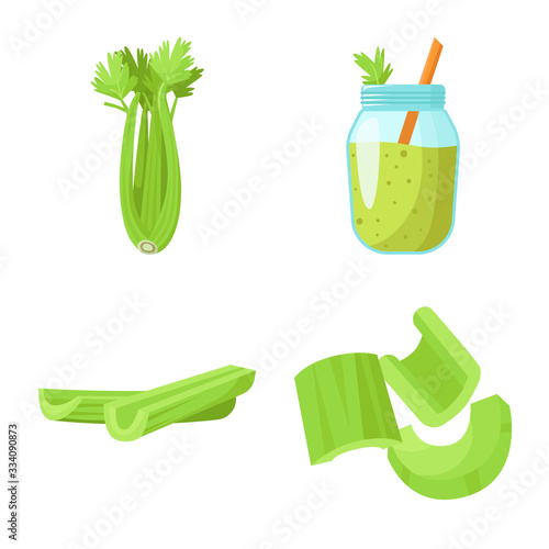 Vector illustration of salad and ingredient symbol. Web element of salad and natural stock vector illustration.