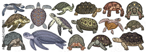 Sea turtle vector cartoon set icon. Vector illustration tortoise on white background. Isolate cartoon set icon sea turtle.