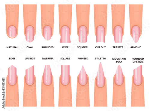 Shape nail vector illustration on white background. Isolated cartoon set icon fingernail. Vector cartoon set icon shape nail.