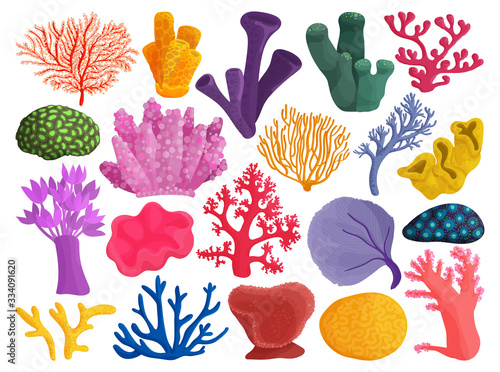 Sea coral vector illustration on white background. Vector cartoon set icon seaweed. Isolated cartoon set icon sea coral.