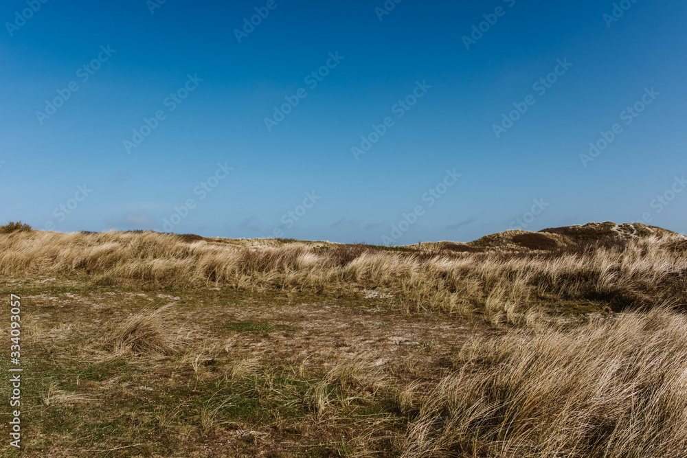 Wide grass dune landscape, sunny day, blue sky, Amrum, Germany Wide grass dune landscape, sunny day, blue sky, Amrum, Germany