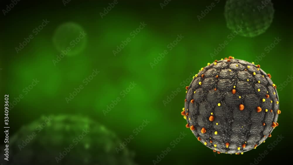 Hantavirus medical animation Cell Virus outbreak medical animation ...