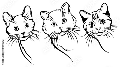 Set of black cats looking out of the corner. Collection of cat faces that spy on you. Playing pets. Tattoo.
