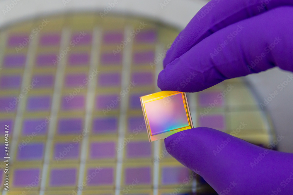 Microchip Matrix Hand in purple color glove holding microchip photo sensor matrix. On ...