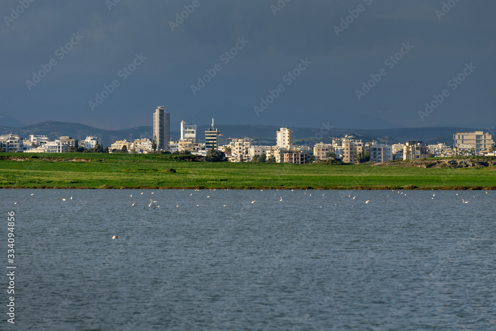 Larnaca panorama on the background of the lake