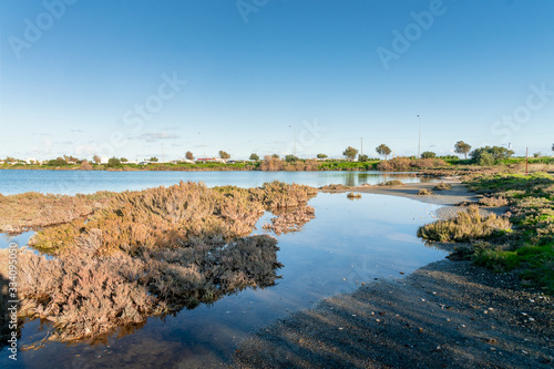 landscape with salt lake Larnaca and grass