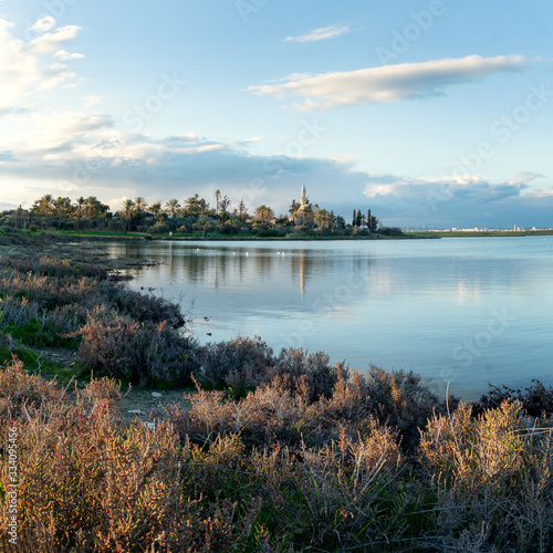 spring  landscape with salt lake Larnaca