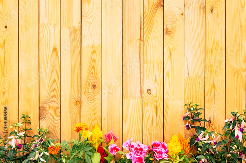 Empty space for message or advertising, brown wooden wall - recycled material - horizontal striped - old pattern background, flowering spring plant at the bottom