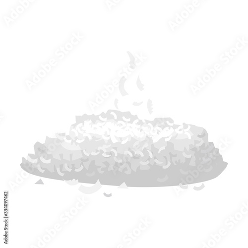 Coconut flakes vector icon.Cartoon vector icon isolated on white background coconut flakes.