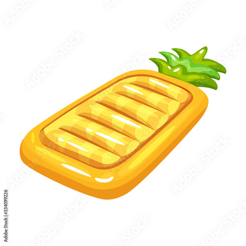 Inflatable mattress vector icon.Cartoon vector icon isolated on white background inflatable mattress.