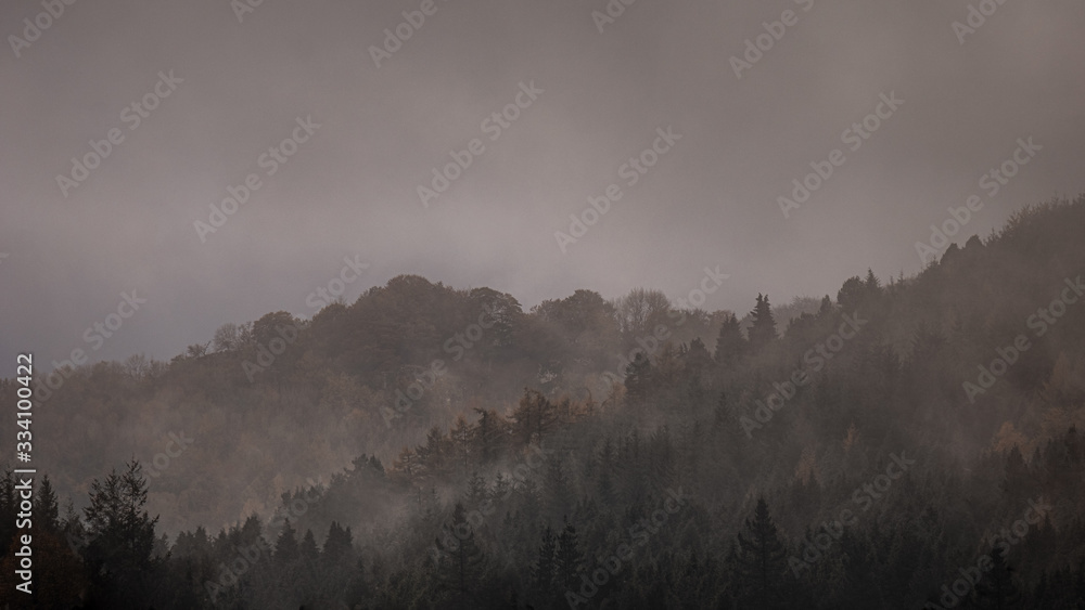 Fototapeta premium Extremely foggy day in woodland. Lots of trees with autumn colors and moody atmosphere.
