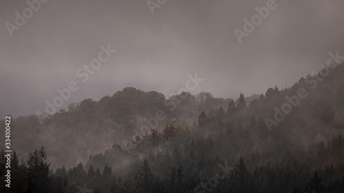 Extremely foggy day in woodland. Lots of trees with autumn colors  and moody atmosphere.